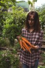 Жінка тримає свіжу моркву в саду — стокове фото