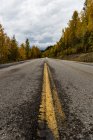 Estrada rural reta passando pela floresta de outono — Fotografia de Stock