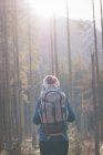 Visão traseira do caminhante feminino de pé com mochila na floresta — Fotografia de Stock
