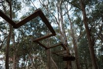Вид на низький кут дерев'яних перешкод мотузки в лісі — стокове фото