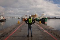 Vista trasera del trabajador portuario parado en el puerto - foto de stock