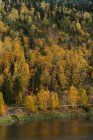 Vista panorámica del hermoso bosque de otoño en la costa del río - foto de stock