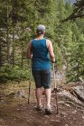Vista trasera de una mujer madura caminando con bastones de senderismo en el bosque - foto de stock