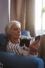 Крупный план пожилой женщины, сидящей на диване со своей кошкой, используя мобильный телефон в гостиной дома — стоковое фото