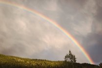 Belo arco-íris em um céu escuro acima da colina verde — Fotografia de Stock