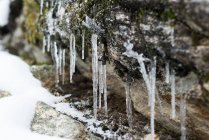 Nahaufnahme von Eiszapfen auf Felsen im Winter — Stockfoto