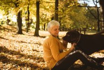 Femme âgée assise sur le sol et caressant son chien de compagnie dans le parc par une journée ensoleillée — Photo de stock