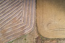 Aerial of patterns on harvested wheat field — Stock Photo