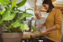 Smiling senior woman and daughter cooking together in the kitchen at home — Stock Photo