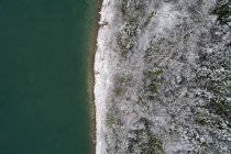 Overhead view of snow covered coniferous forest along the sea coast — Stock Photo