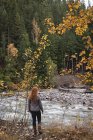 Вид ззаду жінки, що йде до річки в осінньому лісі — стокове фото