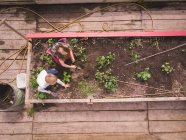 Jardinería para niños juntos en invernadero - foto de stock
