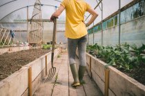 Low section of Woman with digging fork standing in greenhouse — Stock Photo
