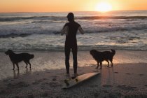 Surfer with dogs standing on beach at susnet — Stock Photo