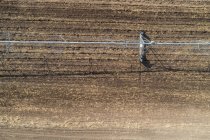 Vista aérea do sistema de irrigação no campo — Fotografia de Stock