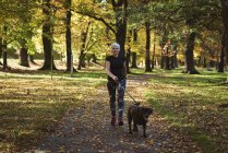 Seniorin geht an sonnigem Tag mit Hund im Park spazieren — Stockfoto