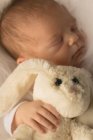 Newborn baby sleeping with rabbit plush toy. — Stock Photo
