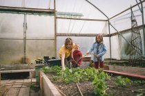 Kinder helfen Mutter in Gewächshausplantage, indem sie Setzlinge gießen — Stockfoto