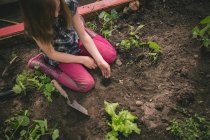 Young girl planting seed in greenhouse — Stock Photo
