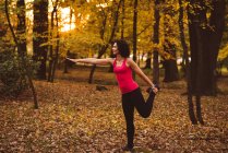Женщина выполняет упражнения на растяжку в лесу в солнечный день — стоковое фото