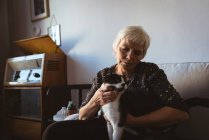 Senior woman sitting on sofa stroking her pet cat in living room at home — Stock Photo