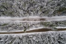 Visão aérea da trilha de sujeira que passa pela floresta de coníferas coberta de neve — Fotografia de Stock