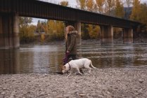 Femme avec son chien de compagnie marchant au bord de la rivière pendant l'automne — Photo de stock