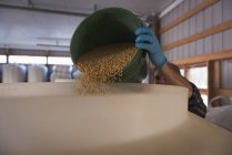 Mann legt Getreide in Getreideaufzug in Fabrik — Stockfoto