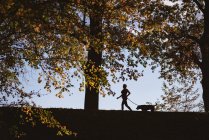 Seniorin geht an sonnigem Tag mit Hund im Park spazieren — Stockfoto