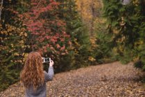 Mujer pelirroja tomando una foto con teléfono en el bosque de otoño - foto de stock