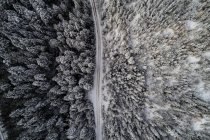 Вид сверху на дорогу, проходящую через заснеженный лес — стоковое фото