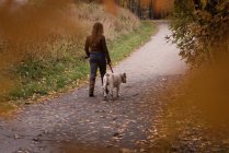 Rückansicht einer Frau, die im Herbst mit ihrem Hund im Park spazieren geht — Stockfoto