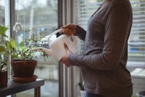 Крупным планом молодая беременная женщина поливает растения дома — стоковое фото
