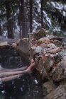 Low section of couple relaxing in hot spring during winter — Stock Photo