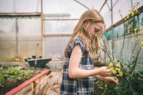 Cute girl holding flower in hand at greenhouse — Stock Photo