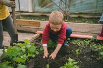 Lindo niño plantación en invernadero - foto de stock