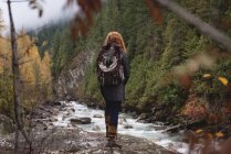 Rückansicht einer Frau, die in der Nähe des Flusses im Herbstwald steht — Stockfoto