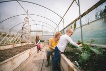 Jardinería madre e hijos juntos en invernadero - foto de stock