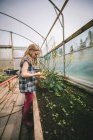 Vista lateral de la niña sosteniendo flor en la mano en el invernadero - foto de stock