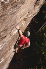 Скелястий альпініст піднімається скелястою скелею в лісі — стокове фото