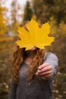 Mujer sosteniendo una hoja de arce de otoño en el bosque - foto de stock