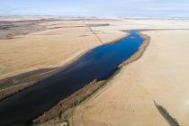 Aerial of river passing through wheat field — Stock Photo