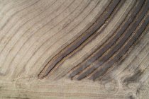 Повітряні лінії на збиральному пшеничному полі — стокове фото