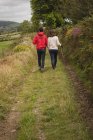 Rear view of couple walking with stick near countryside — Stock Photo