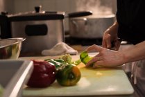 Крупный план повара, рубящего овощи на коммерческой кухне — стоковое фото