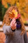 Жінка показує червоне, жовте і коричневе кленове листя в осінньому парку — стокове фото