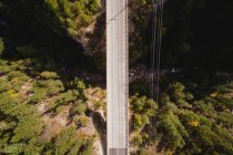 Vista aerea del ponte che passa sopra la foresta — Foto stock