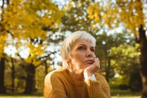 Задумчивая пожилая женщина в парке в солнечный день — стоковое фото