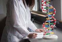 Mid section of university student experimenting molecule model in laboratory — Stock Photo