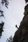 Vue à angle bas de l'alpiniste escaladant la falaise rocheuse — Photo de stock